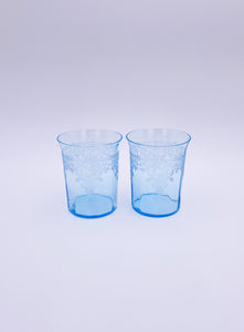 Set of 2 Etched Tumbler Glasses