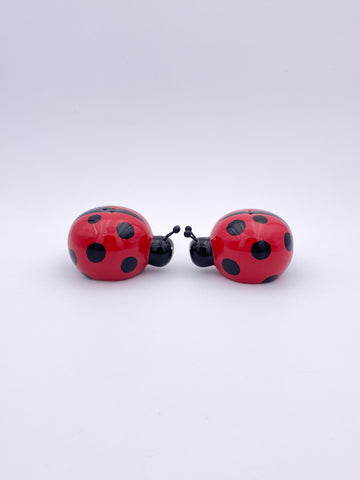 Ladybird Salt & Pepper Shakers